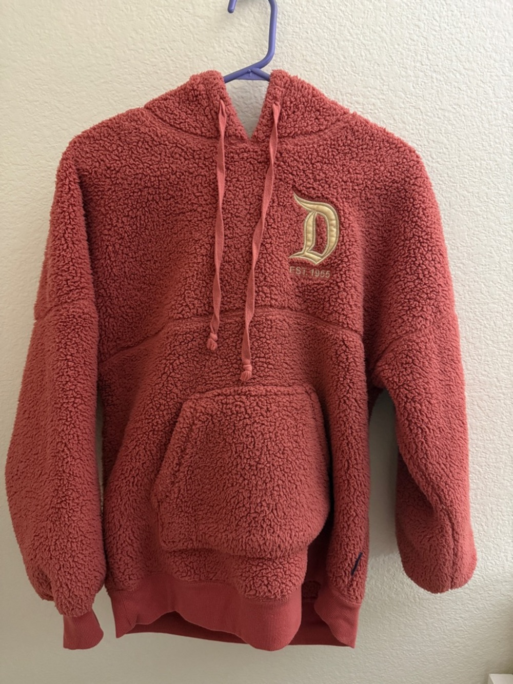 Disneyland Pink and Gold Sherpa Spirit Jersey with Hood